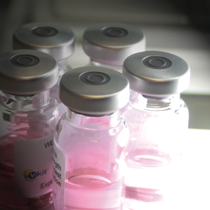 HPLC v-kit reference standards photo of HPLC v-kit reference standards